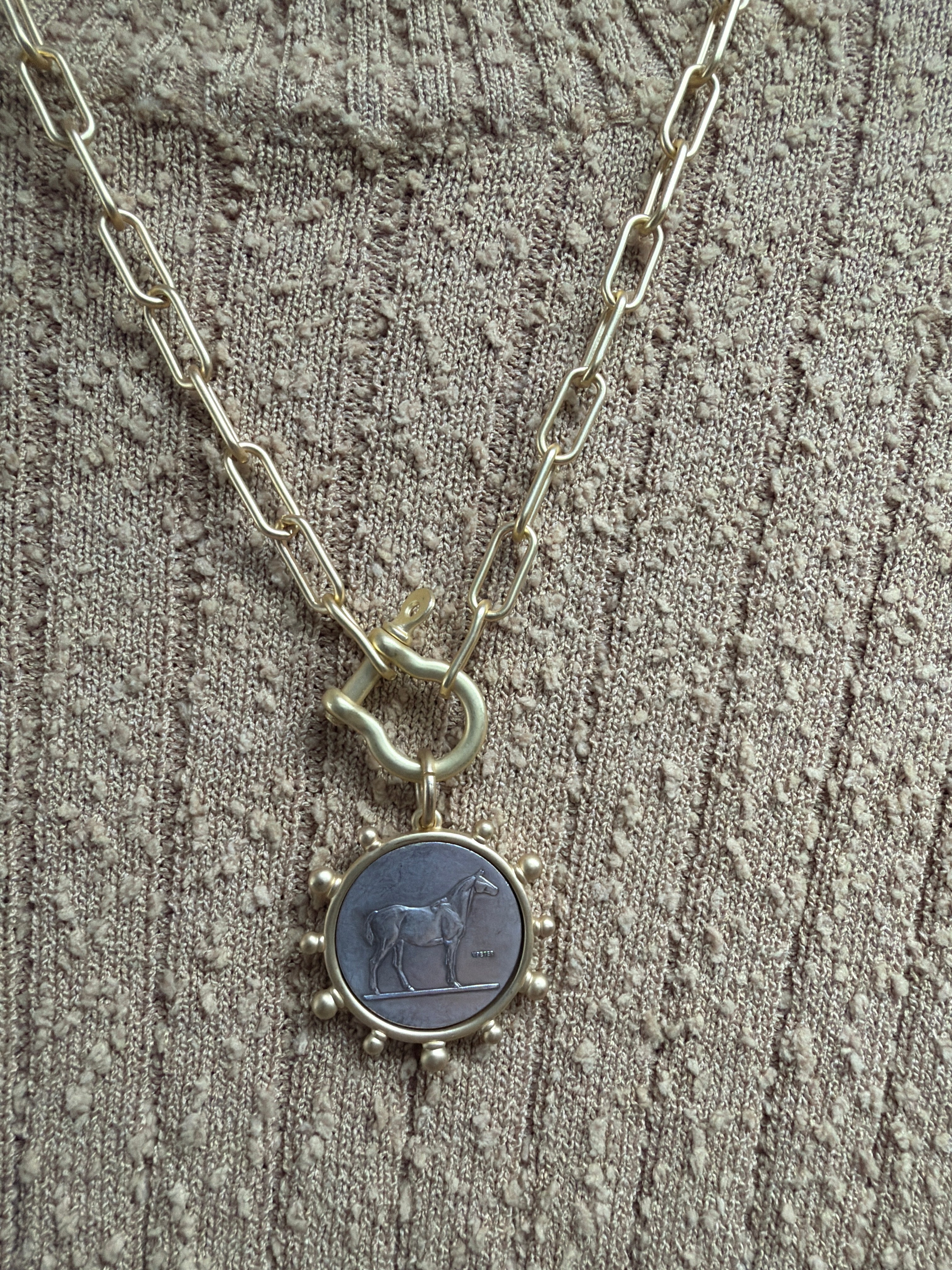 Horse Coin Shackle Necklace