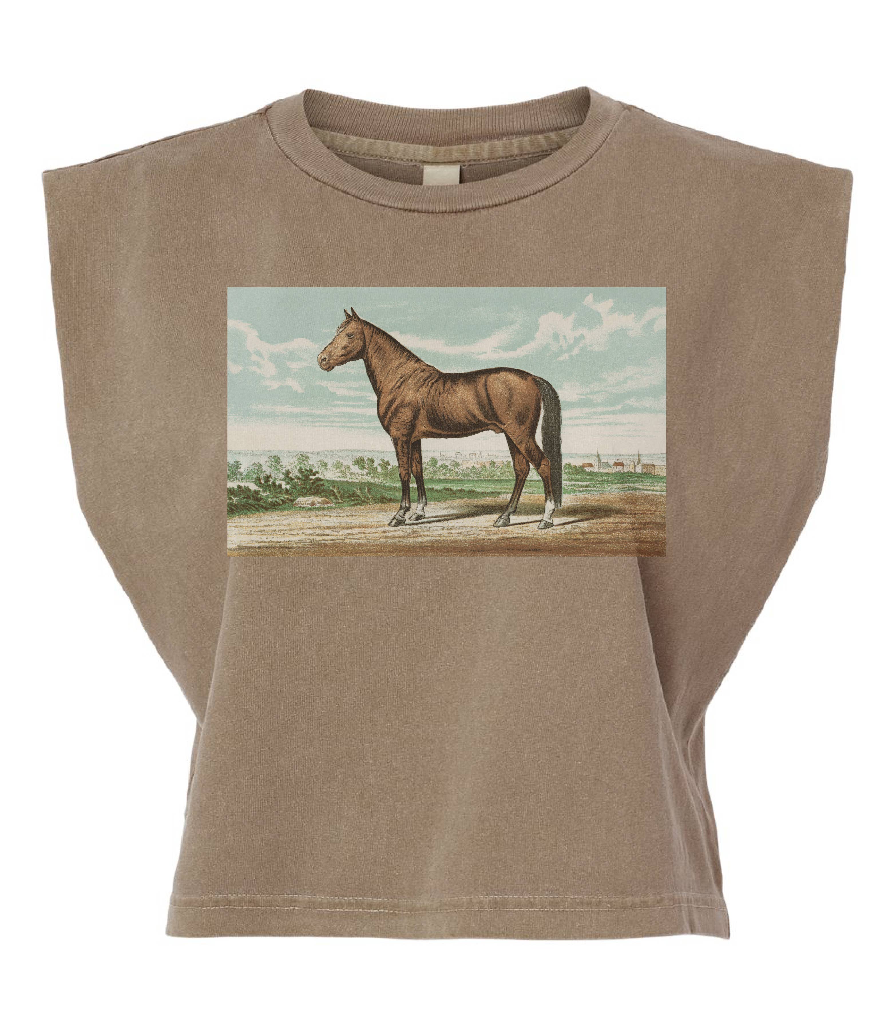 Vintage Horse Graphic Box Tank