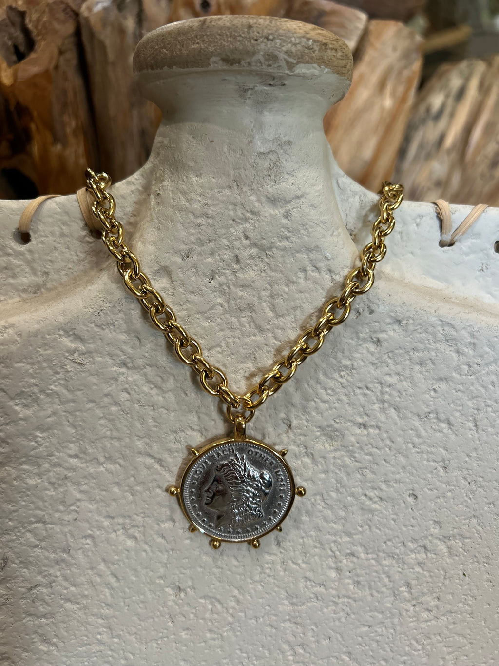 Mixed Metal Coin Necklace