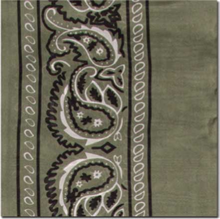 Wild Rag Silk