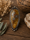 Fossil Statement Ring