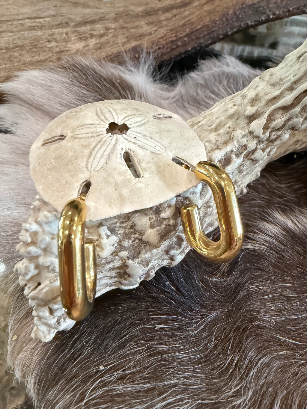 Small Gold "U" shaped earrings