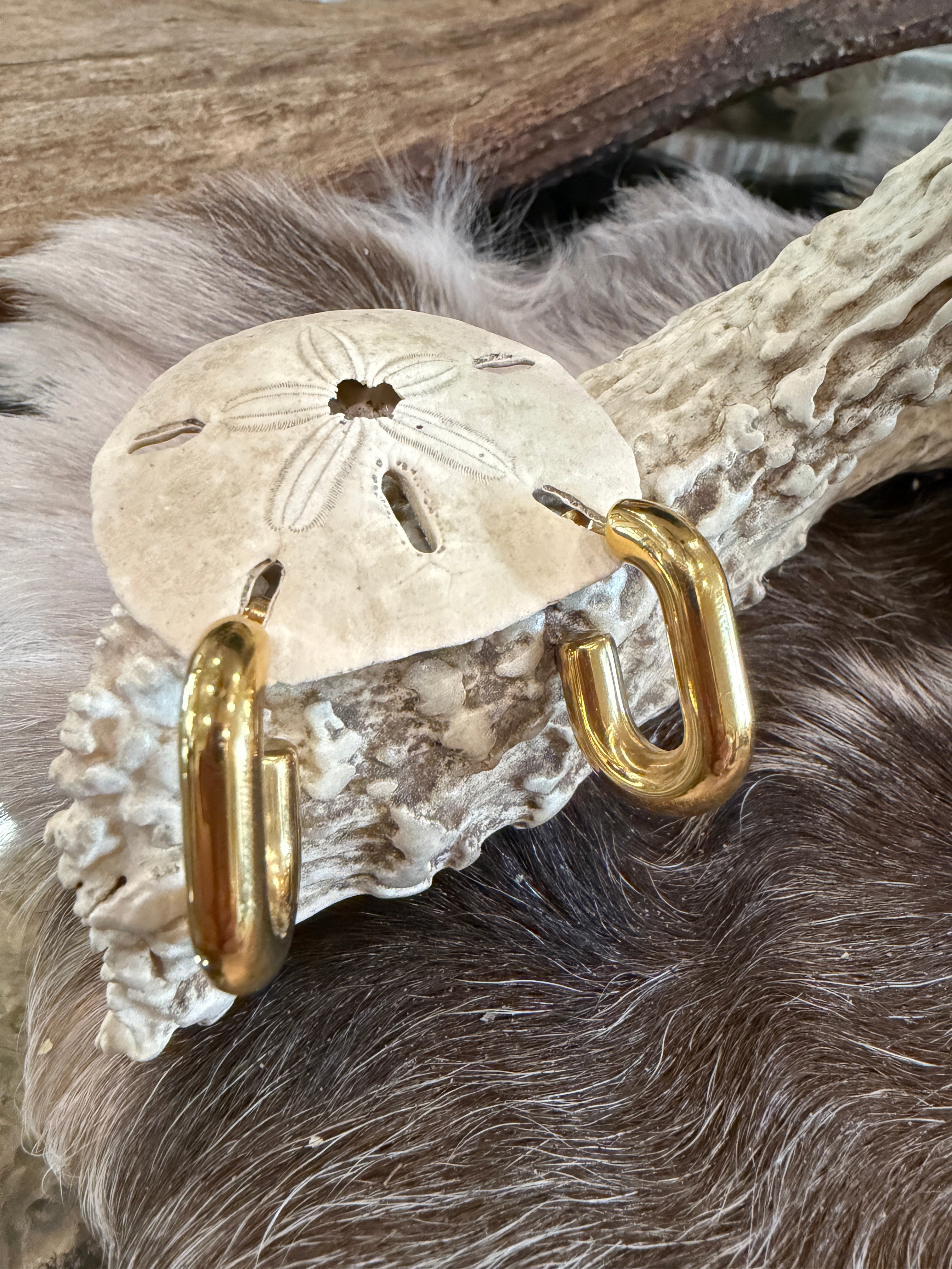 Small Gold "U" shaped earrings